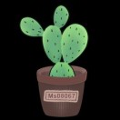 Ms08067安全实验室